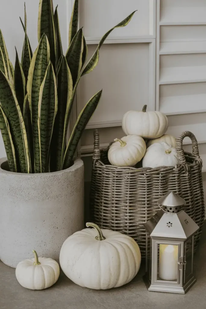 Pumpkin porch display with layered textures for modern style